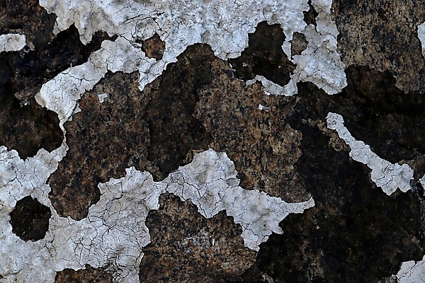 포토 JPG 해외이미지 디자인 벽 백그라운드 패턴 건축양식 표면 날씨 추상 사람없음 목재 빨간색 물 파란색 갈색 금속 수영 페인트 공백 회색 수확 바위 흰색 거친 균열 철 묘사 부식 질감 시멘트 그런지 석고 옛날 철강 콘크리트 카피스페이스 해외포토 자연요소 나무 건축 컬러 무늬 농업 재료 모션 재질 돌_바위 수상스포츠 파일형식 이미지허브