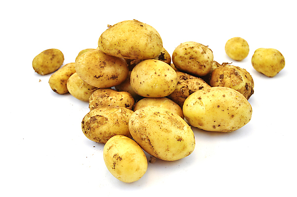 포토 JPG 해외이미지 식물 지구 음식 조각 밭 농업 다이어트 채소 재료 자연 감자 건강 사람없음 여름 농장 갈색 노란색 흙 수확 성장 흰색 신선 시장 횡단보도 달콤 자르기 유기농 날것 뿌리 성분 내추럴 옛날 줄서기 채식주의자 많음 해외포토 웰빙 계절 산업 컬러 컨셉 모션 보행로 맛 생태계 채식 파일형식 이미지허브