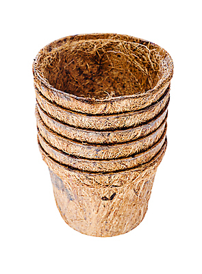 포토 JPG 해외이미지 화분 실내 사람없음 쌓기 자연보호 여러개 껍질 흰배경 에코 친환경 코코넛 섬유 에코라이프 친환경제품 제로웨이스트 해외포토 라이프스타일 다수 백그라운드 과일 모션 자연 내부 환경 그린캠페인 흰색 직물 보호 사회이슈 파일형식 이미지허브