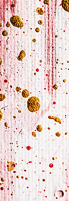 포토 JPG 해외이미지 분홍색 백그라운드 사람없음 빨간색 금색 혼합 뿌리기 질감 캔버스 아크릴물감 해외포토 컬러 모션 물감 파일형식 이미지허브