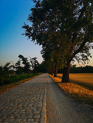 포토 JPG 해외이미지 나무 식물 계절 공원 유럽 도로 길 밭 자연 하늘 아침 사람없음 야외 목재 초록색 파란색 햇빛 태양 노란색 일출 환경 보행로 폴란드 내추럴 브로츠와프 옛날 해외포토 주간 자연요소 공공시설 나라 컬러 농업 재료 교통시설 노을 생태계 파일형식 이미지허브