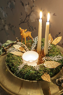 포토 JPG 해외이미지 디자인 꽃 꽃다발 잎 크리스마스 꽃무늬 자연 탁자 사슴 선반 주택 사람없음 내부 목재 장식 초록색 귀여움 축제 수확 골동품 나뭇가지 축하 신선 소나무 역사 황금 우아함 배열 꽃집 향수 묘사 엽서 전나무 내추럴 구성 그런지 옛날 스타일 해외포토 나무 식물 기념일 컬러 가구 컨셉 무늬 농업 재료 포유류 건물 상점 화장품 편지 생태계 파일형식 이미지허브