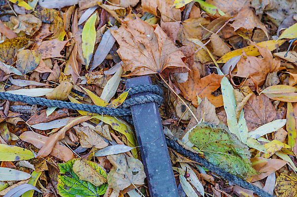 포토 JPG 해외이미지 식물 계절 공원 백그라운드 낙엽 잎 패턴 오렌지 자연 날씨 사람없음 야외 초록색 컬러풀 뷰티 노란색 환경 정원 황금 떨어짐 숲 11월 땅 질감 10월 내추럴 땅바닥 해외포토 공공시설 컬러 컨셉 무늬 과일 바닥 날짜 생태계 파일형식 이미지허브