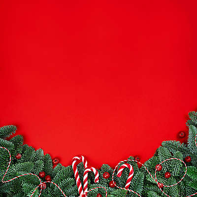 포토 JPG 해외이미지 나무 템플릿 디자인 배너 계절 열매 행복 별 리본 백그라운드 컨셉 크리스마스 겨울 공 휴가 새로움 프레임 사람없음 장식 빨간색 초록색 축제 화환 줄무늬 장식볼 나뭇가지 축하 인사 소나무 신용카드 클래식 연도 초대 전나무 가문비나무 카피스페이스 해외포토 자연요소 식물 기념일 꽃 감정 컬러 무늬 금융 공백 예절 파일형식 이미지허브