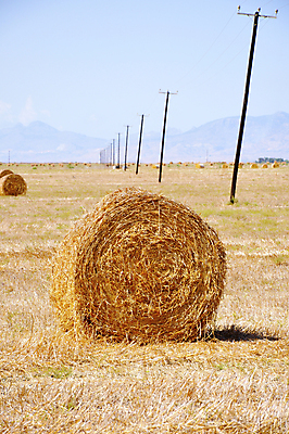 포토 JPG 해외이미지 계절 음식 밭 농업 자연 하늘 건조 풍경 사람없음 여름 농작물 농장 농경지 노란색 쌓기 평화 수확 시골 원형 황금 볏짚 땅 밀 뭉치 밀짚 밭일 줄서기 해외포토 도형 산업 컬러 컨셉 모션 곡류 짚 생태계 파일형식 이미지허브