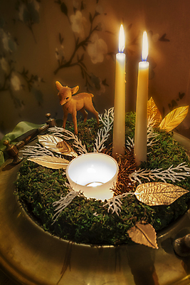 포토 JPG 해외이미지 디자인 꽃 꽃다발 잎 크리스마스 꽃무늬 자연 탁자 사슴 선반 주택 사람없음 내부 목재 장식 초록색 귀여움 축제 수확 골동품 나뭇가지 축하 신선 소나무 역사 황금 우아함 배열 꽃집 향수 묘사 엽서 전나무 내추럴 구성 그런지 옛날 스타일 해외포토 나무 식물 기념일 컬러 가구 컨셉 무늬 농업 재료 포유류 건물 상점 화장품 편지 생태계 파일형식 이미지허브