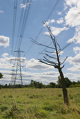 포토 JPG 해외이미지 산업 선 이동 밭 비즈니스 하늘 프레임 사람없음 환경 탑 금속 힘 장비 에너지 시골 사회 위험 큼 볼트 철탑 공학 복잡 분배 해외포토 건축물 교육 컨셉 농업 재질 공구 크기 공동체 파일형식 이미지허브