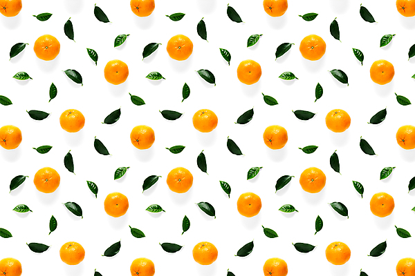 포토 JPG 해외이미지 잎 패턴 귤 사람없음 흰배경 해외포토 식물 백그라운드 무늬 과일 흰색 파일형식 이미지허브