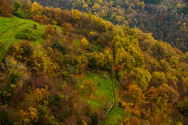 포토 JPG 해외이미지 나무 식물 디자인 계절 공원 백그라운드 잎 밭 오렌지 자연 벽지 하늘 풍경 사람없음 야외 목재 빨간색 초록색 컬러풀 노란색 환경 정원 이탈리아 가을 시골 황금 숲 오솔길 11월 장면 내추럴 생태학 엘리먼트 해외포토 공공시설 교육 유럽 길 컬러 농업 과일 재료 날짜 생태계 파일형식 이미지허브