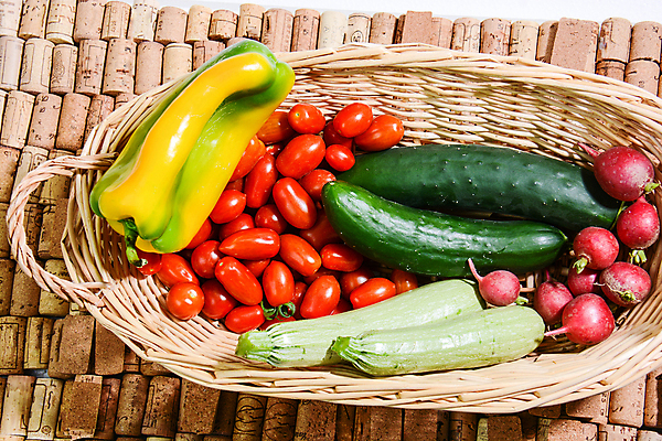 포토 JPG 해외이미지 음식 농업 다이어트 채소 과일 자연 건강 사람없음 농장 시골 해외포토 산업 생태계 파일형식 이미지허브