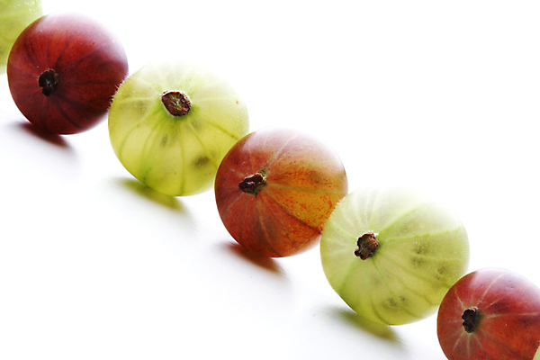 포토 JPG 해외이미지 사람없음 초록색 자주색 구스베리 해외포토 열매 컬러 파일형식 이미지허브