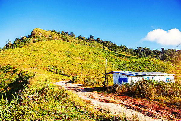 포토 JPG 해외이미지 구름 공원 아시아 여행 백그라운드 잎 겨울 태국 자연 하늘 아침 휴가 산 풍경 잔디 사람없음 야외 가로 파란색 빛 태양 일출 일몰 안개 가을 연기 큼 언덕 산등성이 서쪽 전국 절정 막 해외포토 주간 자연요소 식물 계절 공공시설 나라 컬러 날씨 노을 크기 방향 생태계 파일형식 이미지허브
