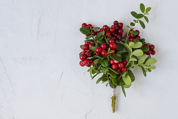 포토 JPG 해외이미지 식물 계절 열매 음식 꽃다발 백그라운드 잎 북아메리카 꽃무늬 과일 재료 자연 건강 사람없음 빨간색 초록색 여름 쌓기 정원 수확 가을 나뭇가지 신선 달콤 숲 이슬 수집 허브 유기농 내추럴 고립 숙성 스칸디나비아 채식주의자 크랜베리 혼자 해외포토 나무 웰빙 꽃 컬러 무늬 농업 모션 아메리카 맛 생태계 채식 파일형식 이미지허브
