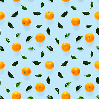 포토 JPG 해외이미지 잎 패턴 귤 사람없음 파란배경 해외포토 식물 백그라운드 무늬 과일 파란색 파일형식 이미지허브