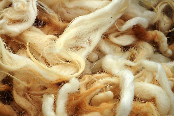 포토 JPG 해외이미지 동물 백그라운드 패턴 자연 표면 털 따뜻함 사람없음 유행 코트 흰색 직물 양 피부 묘사 질감 부드러움 양고기 내추럴 양모 해외포토 컬러 무늬 포유류 육류 신체부위 외투 감각 생태계 파일형식 이미지허브