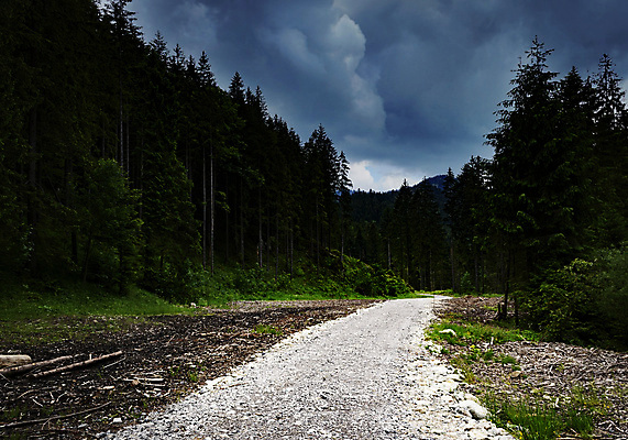 포토 JPG 해외이미지 나무 구름 계절 도로 길 백그라운드 밭 자연 하늘 날씨 산 풍경 사람없음 야외 목재 초록색 여름 파란색 환경 어둠 봄 시골 숲 오솔길 먼지 장면 폭풍 내추럴 슬로바키아 우크라이나 가문비나무 수평선 해외포토 자연요소 식물 유럽 컬러 농업 재료 교통시설 생태계 파일형식 이미지허브