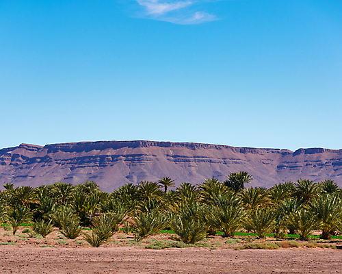 포토 JPG 해외이미지 나무 식물 구름 공원 모래 여행 아프리카 자연 하늘 산 건조 손바닥 풍경 사람없음 야외 여름 파란색 골짜기 계곡 하이킹 사막 바위 성 황무지 언덕 각도 슛 암초 멀리 모로코 사하라 산악지대 오아시스 전국 해외포토 자연요소 건축물 손 계절 공공시설 나라 컬러 레저 돌_바위 생태계 파일형식 이미지허브