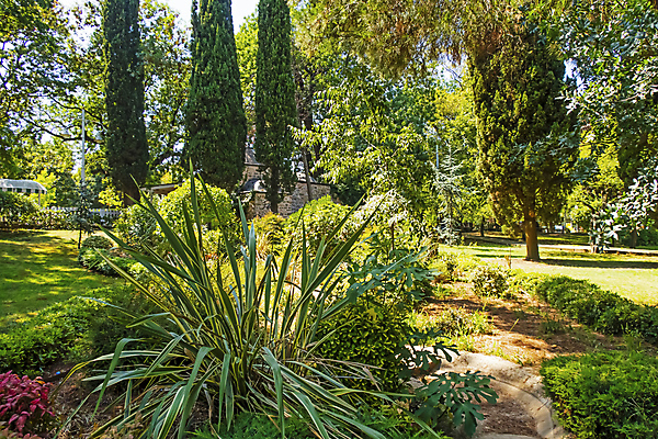포토 JPG 해외이미지 나무 식물 계절 공원 꽃 길 백그라운드 꽃무늬 밭 자연 하늘 풍경 잔디 사람없음 야외 장식 초록색 여름 파란색 빛 컬러풀 햇빛 뷰티 환경 정원 맑음 침묵 봄 벚꽃 나뭇가지 신선 개화 체리 원예 장면 내추럴 해외포토 공공시설 컬러 무늬 농업 과일 날씨 취미 태양 소리 생태계 파일형식 이미지허브