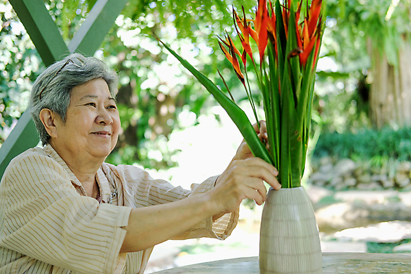 포토 JPG 해외이미지 라이프스타일 여자 꽃 꽃다발 꽃무늬 주택 한명 취미 장식 정원 은퇴 배열 옛날 해외포토 식물 1 무늬 사람 건물 생활 파일형식 이미지허브
