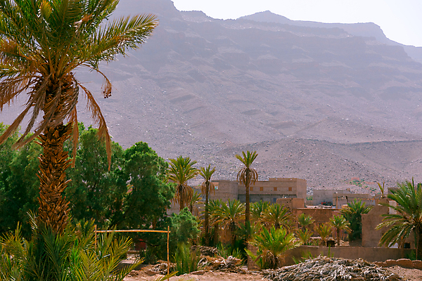 포토 JPG 해외이미지 나무 구름 전통 공원 모래 여행 백그라운드 잎 아프리카 자연 하늘 산 건조 손바닥 풍경 사람없음 야외 여름 환경 골짜기 계곡 사막 바위 씻기 숲 땅 언덕 지역 암초 모로코 산악지대 오아시스 전국 지도책 평야 해외포토 자연요소 식물 손 계절 공공시설 나라 책 청결 돌_바위 생태계 파일형식 이미지허브