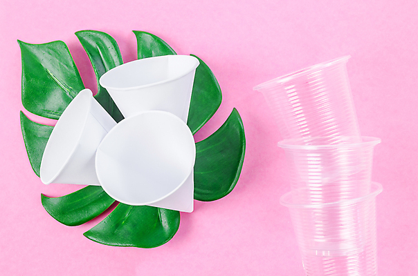 포토 JPG 해외이미지 실내 사람없음 자연보호 종이컵 일회용 오브젝트 에코 친환경 에코라이프 원뿔 몬스테라 플라스틱컵 분홍색배경 제로웨이스트 해외포토 도형 식물 라이프스타일 분홍색 백그라운드 자연 내부 컵 환경 그린캠페인 보호 플라스틱 사회이슈 파일형식 이미지허브