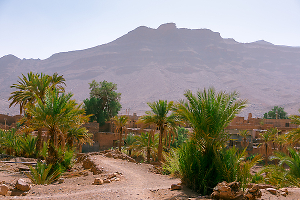 포토 JPG 해외이미지 나무 구름 전통 공원 모래 여행 백그라운드 잎 아프리카 자연 하늘 산 건조 손바닥 풍경 사람없음 야외 여름 환경 골짜기 계곡 사막 바위 씻기 숲 땅 언덕 지역 암초 모로코 산악지대 오아시스 전국 지도책 평야 해외포토 자연요소 식물 손 계절 공공시설 나라 책 청결 돌_바위 생태계 파일형식 이미지허브
