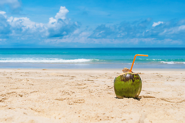 포토 JPG 해외이미지 음료 음식 모래 바다 섬 여행 백그라운드 과일 자연 하늘 휴가 휴식 건강 해변 사람없음 초록색 물 파란색 맑음 주스 신선 뜨거움 달콤 먹기 유기농 코코넛 밀짚 내추럴 이국적 채식주의자 파라다이스 해외포토 자연요소 웰빙 컬러 컨셉 모션 날씨 맛 짚 생태계 채식 파일형식 이미지허브