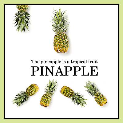 포토 JPG 해외이미지 라이프스타일 디자인 음식 조각 컨셉 잎 다이어트 과일 재료 부분 디저트 건강 사람없음 여름 주스 신선 달콤 맛 자르기 먹기 파인애플 오브젝트 열대과일 흰배경 상쾌 유기농 레이아웃 슬라이스 내추럴 고립 이국적 채식주의자 해외포토 식물 웰빙 계절 감정 음료 백그라운드 모션 생활 흰색 채식 파일형식 이미지허브