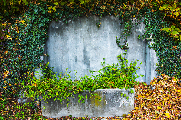포토 JPG 해외이미지 공원 음료 백그라운드 잎 건강 사람없음 야외 컵 초록색 물 여름 파란색 반사 금속 이탈리아 젖음 흐름 추위 신선 얼룩 그리기 액체 개울 닫기 빨래 시원함 갈증 분수 수도꼭지 일반 그런지 옛날 철강 콘크리트 해외포토 자연요소 식물 식기 계절 공공시설 유럽 컬러 컨셉 가사 모션 재질 강 파일형식 이미지허브