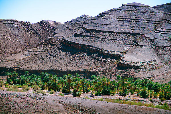 포토 JPG 해외이미지 나무 전통 공원 모래 여행 백그라운드 잎 아프리카 자연 하늘 산 건조 손바닥 사람없음 야외 환경 골짜기 계곡 사막 씻기 숲 땅 언덕 지역 암초 모로코 산악지대 오아시스 전국 지도책 평야 해외포토 식물 손 공공시설 나라 책 청결 생태계 파일형식 이미지허브