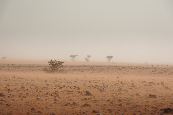 포토 JPG 해외이미지 구름 지구 모래 여행 백그라운드 오렌지 아프리카 자연 하늘 바람 날씨 건조 풍경 사람없음 여름 모래사장 갈색 환경 맑음 어둠 사막 안개 바위 뜨거움 황무지 위험 땅 모래언덕 먼지 지역 폭풍 가뭄 모로코 난민 기후변화 파멸 수평선 해외포토 자연요소 계절 나라 바다 컬러 컨셉 과일 돌_바위 변화 언덕 생태계 파일형식 소멸 이미지허브