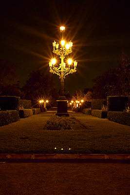 포토 JPG 해외이미지 나무 식물 계절 공원 도로 여행 겨울 가로등 자연 조명 거리 풍경 사람없음 야외 빛 우주 정원 검은색 사진촬영 어둠 새벽 안개 가을 등불 램프 도시 야간 저녁 숲 신비 땅 장면 타운 타입 빛망울 해외포토 자연요소 공공시설 길 컬러 컨셉 교통시설 날씨 촬영 생태계 파일형식 이미지허브