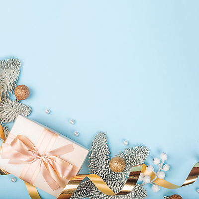 포토 JPG 해외이미지 나무 템플릿 계절 리본 백그라운드 크리스마스 겨울 공 휴가 새로움 새해 프레임 선물 사람없음 장식 파란색 상자 냉동 장식볼 추위 흰색 나뭇가지 축하 인사 소나무 신용카드 황금 연도 활 서리 전나무 내추럴 눈내림 가문비나무 카피스페이스 해외포토 식물 기념일 컬러 컨셉 눈_날씨 금융 공백 예절 파일형식 이미지허브