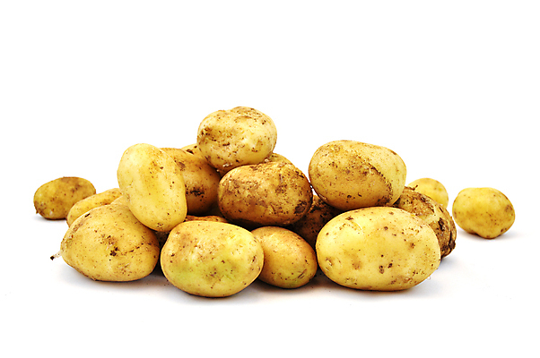 포토 JPG 해외이미지 식물 지구 음식 조각 밭 농업 다이어트 채소 재료 자연 감자 건강 사람없음 여름 농장 갈색 노란색 흙 수확 성장 흰색 신선 시장 횡단보도 달콤 자르기 유기농 날것 뿌리 성분 내추럴 옛날 줄서기 채식주의자 많음 해외포토 웰빙 계절 산업 컬러 컨셉 모션 보행로 맛 생태계 채식 파일형식 이미지허브