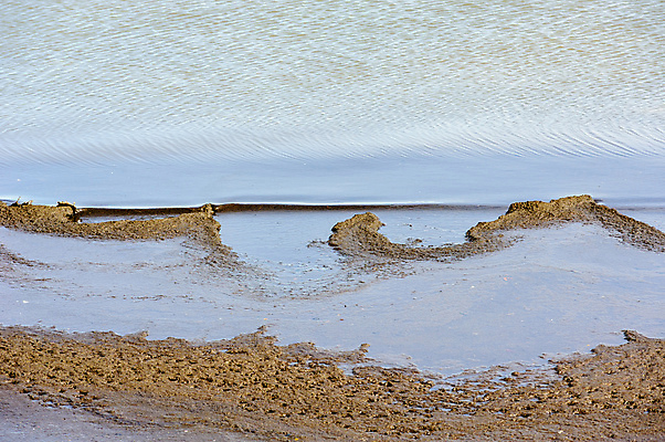 포토 JPG 해외이미지 물결 모래 파도 바다 패턴 곡선 자연 조류 표면 추상 사람없음 야외 물 모래사장 갈색 환경 젖음 흐름 만 액체 가장자리 매끈함 묘사 부식 산등성이 웅덩이 내추럴 해외포토 자연요소 동물 선 컬러 컨셉 무늬 산 감각 둘레 생태계 파일형식 이미지허브