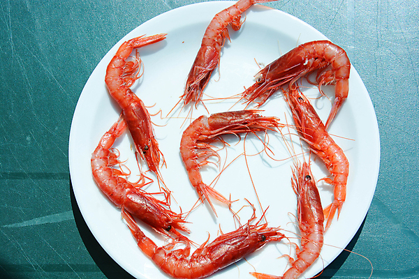 포토 JPG 해외이미지 음식 바다 재료 조개 새우 건강 요리 사람없음 빨간색 식당 신선 해산물 해외포토 컬러 어패류 갑각류 상점 파일형식 이미지허브