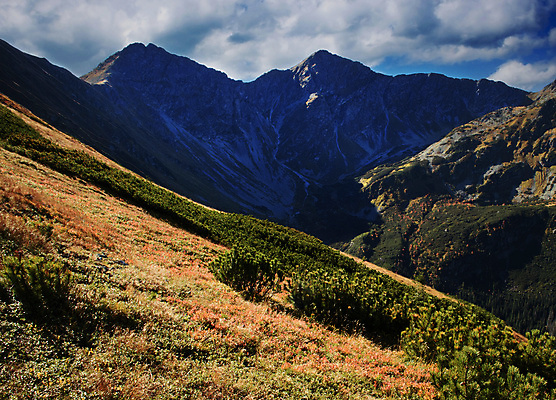 포토 JPG 해외이미지 구름 계절 여행 백그라운드 오렌지 자국 자연 하늘 산 파노라마 풍경 사람없음 야외 파란색 빛 컬러풀 햇빛 노란색 환경 계곡 일몰 트래킹 하이킹 가을 숲 땅 산등성이 내추럴 산악지대 절정 해외포토 자연요소 컬러 과일 레저 촬영기법 태양 노을 생태계 파일형식 이미지허브