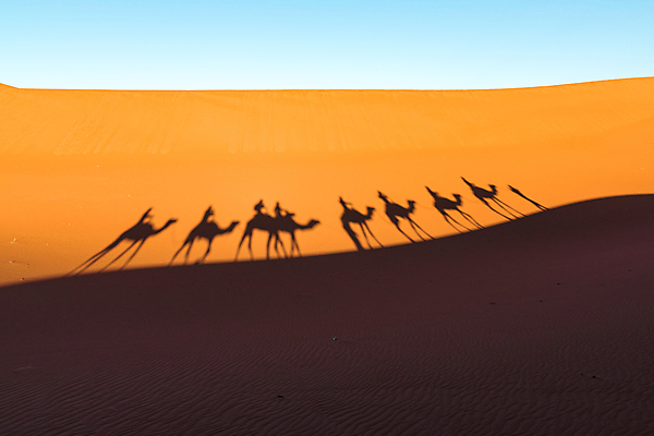 포토 JPG 해외이미지 주간 모양 동물 실루엣 모래 여행 컨셉 오렌지 포유류 아프리카 자연 하늘 건조 그림자 사람 풍경 사람없음 야외 태양 일몰 사막 뜨거움 황무지 발사 모래언덕 낙타 모로코 사하라 단봉낙타 아랍어 이국적 카라반 해외포토 자연요소 나라 과일 촬영기법 노을 언덕 생태계 캠핑카 파일형식 이미지허브