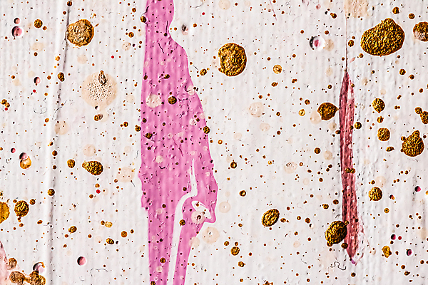 포토 JPG 해외이미지 분홍색 백그라운드 사람없음 빨간색 금색 혼합 뿌리기 질감 캔버스 아크릴물감 해외포토 컬러 모션 물감 파일형식 이미지허브