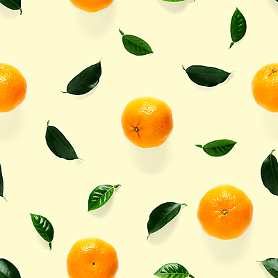 포토 JPG 해외이미지 잎 패턴 귤 사람없음 노란색 해외포토 식물 컬러 무늬 과일 파일형식 이미지허브