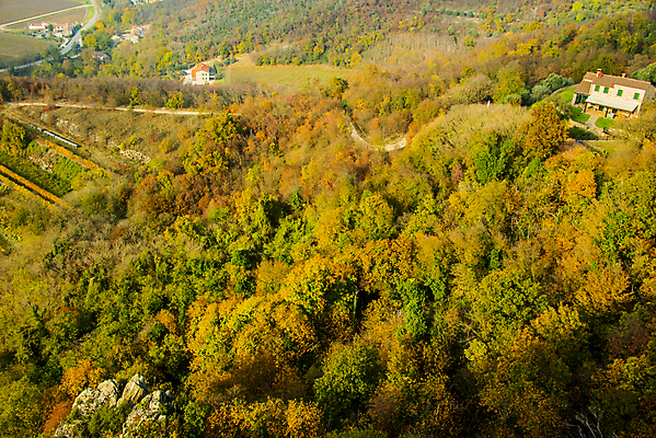 포토 JPG 해외이미지 나무 구름 배너 계절 공원 여행 백그라운드 잎 꽃무늬 밭 오렌지 자연 하늘 파노라마 풍경 사람없음 야외 목재 컬러풀 농장 노란색 마을 환경 일몰 이탈리아 활발 수확 가을 시골 숲 언덕 장면 추수감사절 10월 내추럴 해외포토 자연요소 식물 공공시설 꽃 유럽 기독교 컬러 컨셉 무늬 농업 과일 재료 촬영기법 노을 날짜 생태계 파일형식 이미지허브