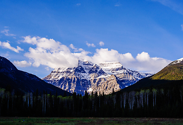 포토 JPG 해외이미지 나무 구름 캐나다 자연 하늘 날씨 산 풍경 경사 사람없음 야외 초록색 파란색 환경 계곡 황무지 정상 숲 고도 언덕 산등성이 지역 내추럴 삼림지대 절정 지질학 해외포토 자연요소 식물 교육 컬러 북아메리카 생태계 파일형식 이미지허브