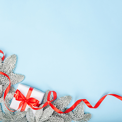 포토 JPG 해외이미지 나무 디자인 리본 백그라운드 크리스마스 겨울 휴가 새로움 새해 프레임 선물 사람없음 장식 빨간색 파란색 상자 냉동 축제 덮개 흰색 나뭇가지 축하 인사 신용카드 12월 연도 서리 전나무 내추럴 눈내림 가문비나무 카피스페이스 해외포토 식물 계절 기념일 컬러 컨셉 눈_날씨 금융 공백 뚜껑 예절 날짜 파일형식 이미지허브