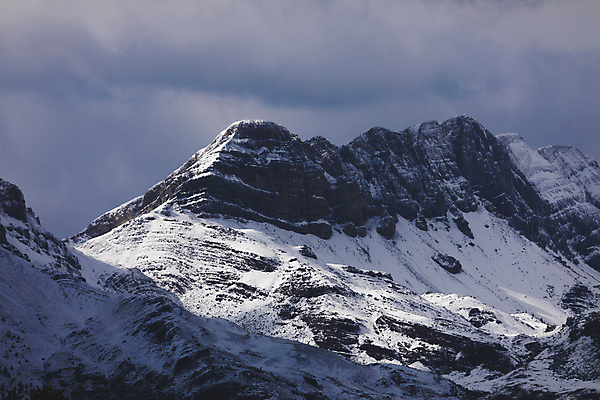 포토 JPG 해외이미지 나무 식물 여행 겨울 자연 하늘 산 파노라마 경사 사람없음 야외 파란색 뷰티 계곡 냉동 얼음 침묵 하이킹 추위 흰색 소나무 스페인 숲 언덕 빙하 장면 전나무 아라곤 스카이라인 리빙 동물상 절정 해외포토 자연요소 계절 유럽 컬러 레저 촬영기법 조형물 소리 생태계 파일형식 이미지허브