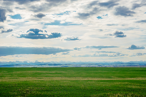포토 JPG 해외이미지 캐나다 밭 농업 자연 하늘 산 거리 사람없음 야외 초록색 뷰티 목장 자유 시골 큼 땅 언덕 지역 멀리 내추럴 서쪽 스텝 앨버타 수평선 해외포토 산업 컬러 컨셉 북아메리카 크기 방향 생태계 파일형식 이미지허브