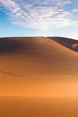 포토 JPG 해외이미지 모래 여행 백그라운드 컨셉 오렌지 아프리카 자연 하늘 건조 그림자 풍경 사람없음 야외 빨간색 여름 모래사장 태양 맑음 일몰 운전 사막 탐험 뜨거움 황무지 큼 모래언덕 언덕 지역 가뭄 멀리 모로코 사하라 오지 수평선 해외포토 자연요소 계절 나라 바다 컬러 과일 모션 날씨 노을 크기 생태계 파일형식 이미지허브
