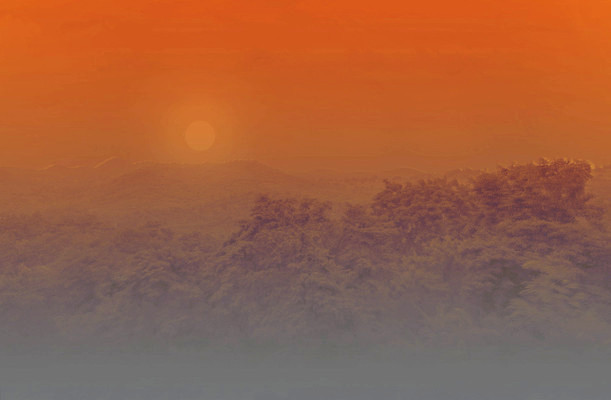 포토 JPG 해외이미지 나무 구름 계절 백그라운드 잎 밭 농업 자연 하늘 날씨 파노라마 풍경 잔디 사람없음 야외 초록색 여름 파란색 빛 태양 일출 일몰 봄 안개 흰색 시골 신선 숲 땅 언덕 내추럴 수평선 해외포토 자연요소 식물 산업 컬러 촬영기법 노을 생태계 파일형식 이미지허브