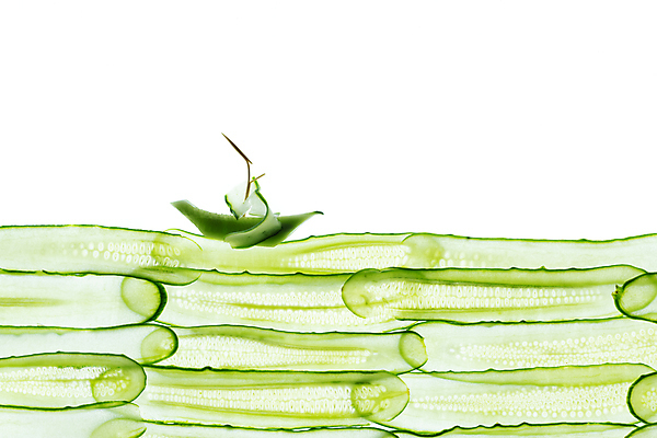 포토 JPG 해외이미지 식물 라이프스타일 음식 바다 조각 백그라운드 농업 다이어트 채소 재료 부분 자연 오이 건강 사람없음 초록색 식사 샐러드 흰색 신선 원형 고명 그룹 맛 자르기 먹기 오브젝트 흰배경 유기농 날것 슬라이스 흙더미 고립 숙성 채식주의자 개조 해외포토 도형 웰빙 산업 컬러 컨셉 모션 생활 흙 생태계 채식 파일형식 더미 이미지허브