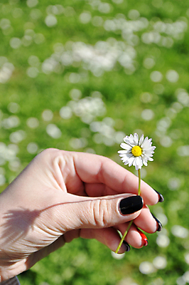 포토 JPG 해외이미지 식물 라이프스타일 공원 여자 꽃 여유 꽃무늬 밭 자연 하늘 사람 풍경 잔디 사람없음 야외 초록색 여름 파란색 햇빛 태양 평화 정원 맑음 봄 흰색 시골 신선 땅 허브 데이지 냄새 내추럴 해외포토 자연요소 계절 공공시설 감정 컬러 컨셉 무늬 농업 날씨 생활 생태계 파일형식 이미지허브