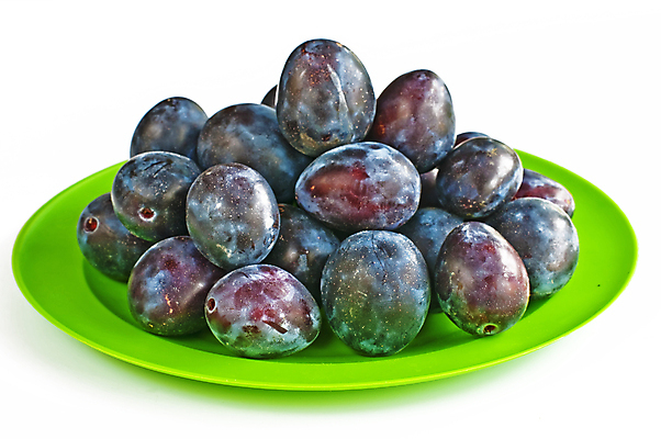 포토 JPG 해외이미지 접시 음식 다이어트 과일 건강 사람없음 빨간색 초록색 파란색 신선 달콤 보케 자두 해외포토 식기 컬러 맛 파일형식 이미지허브